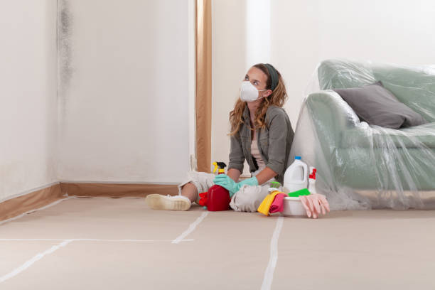 Reliable Mold Inspection contractor in Piscataway, NJ by WQB Mold Removal